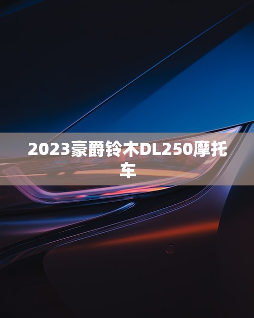 2023豪爵铃木DL250摩托车(新一代经典之作)