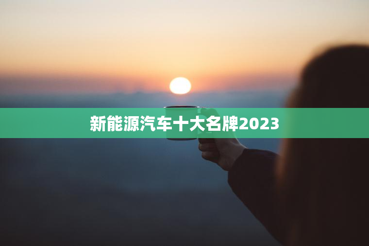 新能源汽车十大名牌2023