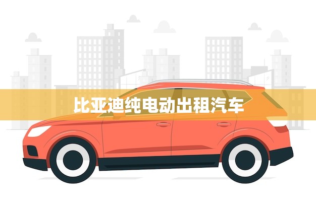 比亚迪纯电动出租汽车(环保出行新选择)