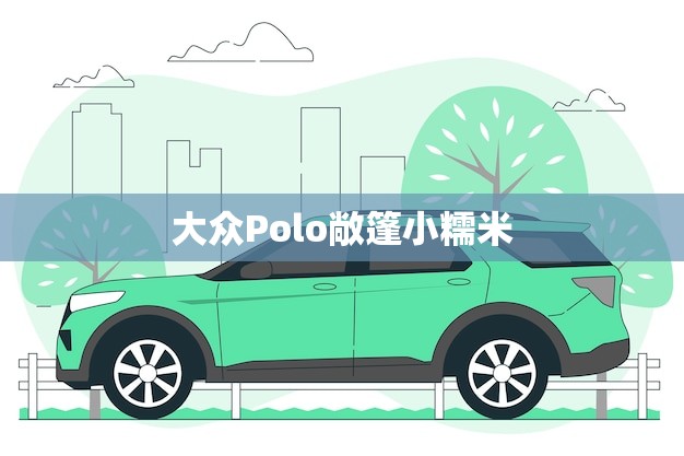 大众Polo敞篷小糯米(时尚小车带来的无限乐趣)