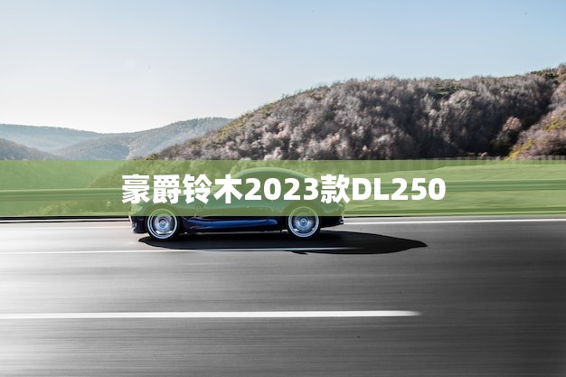 豪爵铃木2023款DL250(全新升级带你开启全新旅程)