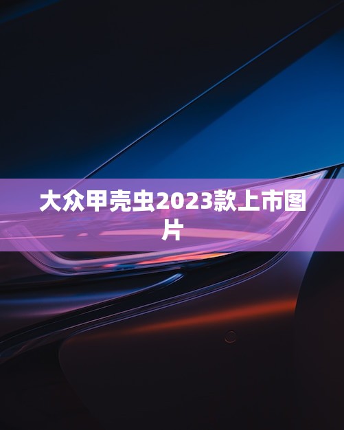 大众甲壳虫2023款上市图片(曝光经典再现)